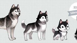 What husky is your favourite? Mine: 3rd