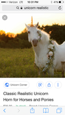 My unicorn is on googlE