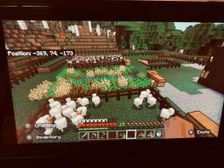 My shity farm in Minecraft qwq