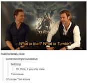 Of course Tom knows what Tumblr is