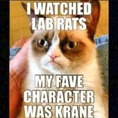 grumpy cat lab rats :)