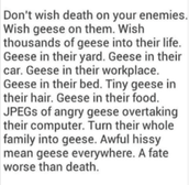 I wish geese upon some of you