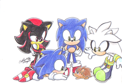 the hedgehogs meet... A hedgehog!