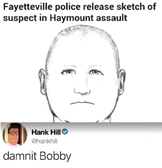 dammit bobby