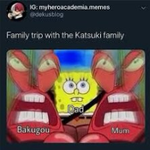 How i look at Kacchan's family XD