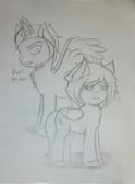 Mlp Seg & Dark.