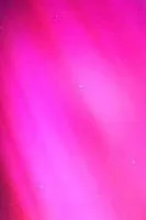 Video Star Fan Page Video Star Fan Page