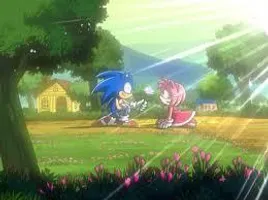 Support for SONAMY Support for SONAMY