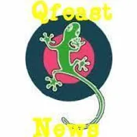 Qfeaster News Qfeaster News