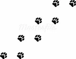 Puppy page Puppy page