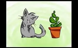 All about warrior cats All about warrior cats