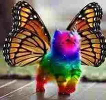 Ask da Kookoo Kitty Ask da Kookoo Kitty