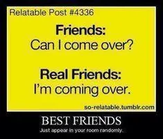 best friends day best friends day