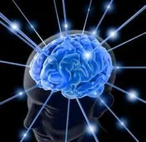 intelligence contest! intelligence contest!