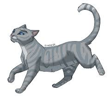 Would Sliverstream had gone to thunderclan to rasie her kits along side greystripe IF she lived?