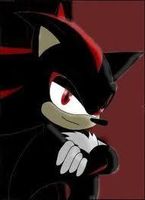 Question Or Dare Shadow The Hedgehog