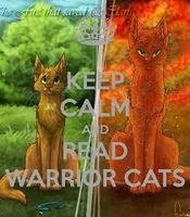 Warrior Cats (2)