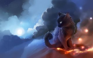 Warrior cats Rp! (By Kittycat255 :D)