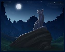 Warrior cat roleplay