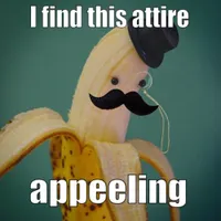 Puns Puns