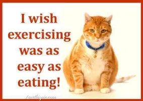 I wish... I wish...