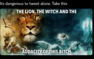 the lion the witch and the audacity of this bitch