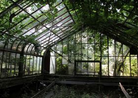 abandoned greenhouses because aesthetic