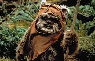 Forest need to stop being cut! Forest need to stop being cut!