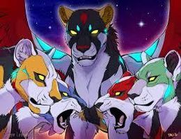 everything voltron!