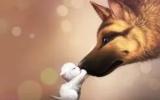 Animal Lovers Animal Lovers