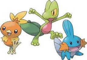 Favorite Pokemon starter? (Hoenn)