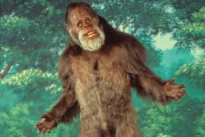 Is Bigfoot Real?