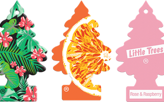 Which Little Trees car freshener would Antoine like the best?