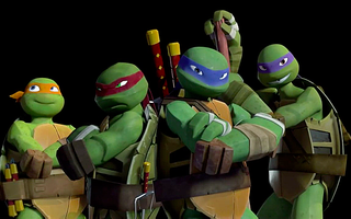 Who's your favorite teenage mutant ninja turtle? (TMNT)