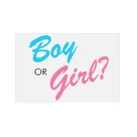 Are you a boy or a girl? Are you a boy or a girl?