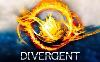 Do you like the divergent series?