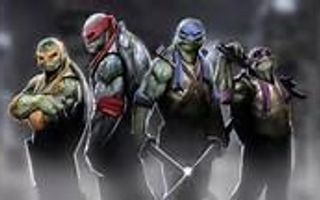 Which Ninja Turtle is your favourite .