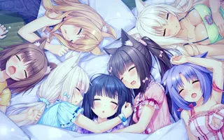 Which Neko? Which Neko?