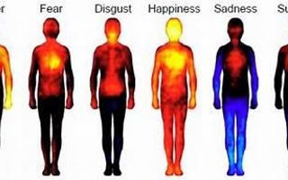 What are you feeling rn?