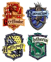 Which Harry Potter House? Which Harry Potter House?