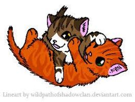 Leafpool or Squirrelflight?