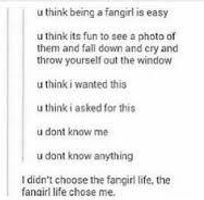 Are you a fangirl, fanboy or a 'normal' person?