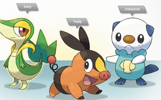 Which Fifth Generation Starter Pokemon?