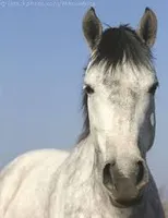 Which Season Which Season