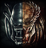 Aliens vs Predator: which do you like more?