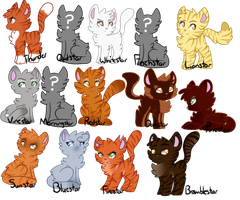 Best thunderclan leader