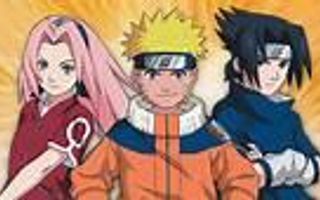 Do you like naruto