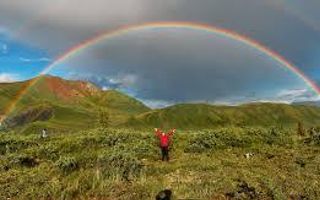 Which rainbow(multicolored) dress do you like the best?