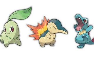 Which Second Generation Starter Pokemon?