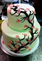 What Cake do you Like Better? What Cake do you Like Better?